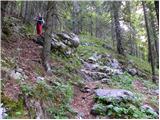 Kraljev hrib - Planina Rzenik